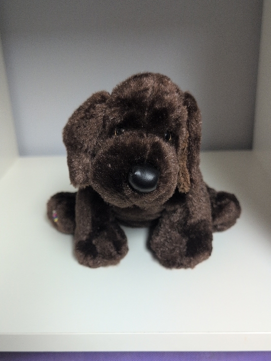GANZ Other - 💜2/$20💜 Webkinz Chocolate Brown Lab No Code Collectible Vintage Y2K Plush